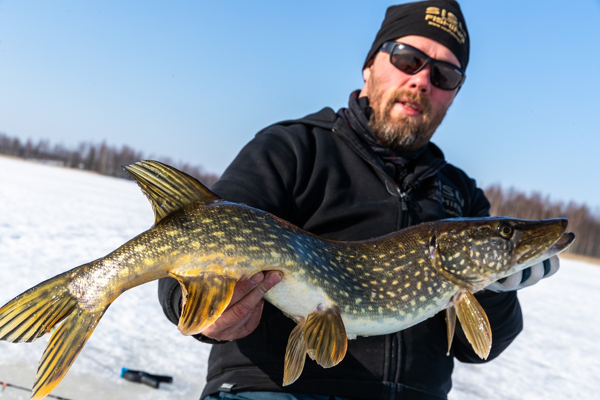 Fishing Adventure Winter Pike Fishing